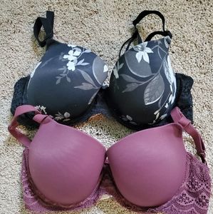 Arden Bras 36B